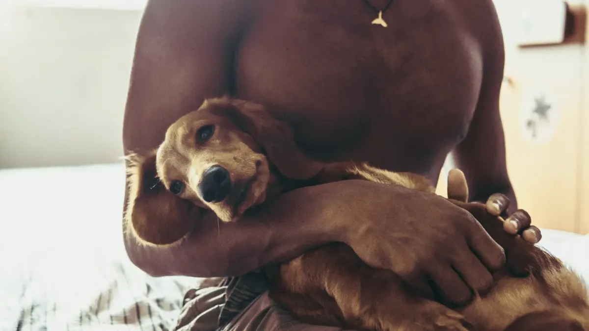 A dog lying on its side while an owner's hand rests gently on its belly