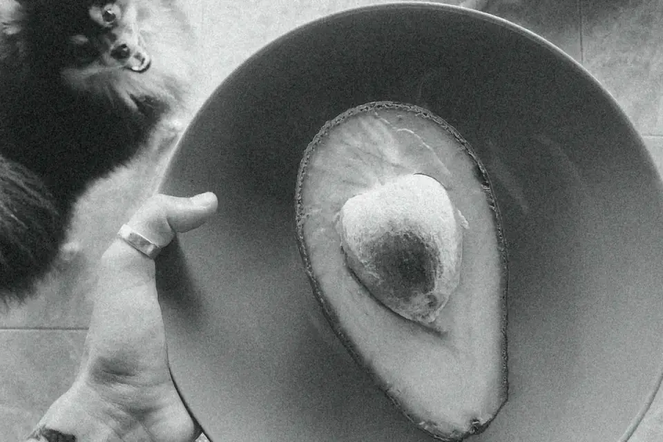 A dog owner setting down a food bowl in a home kitchen