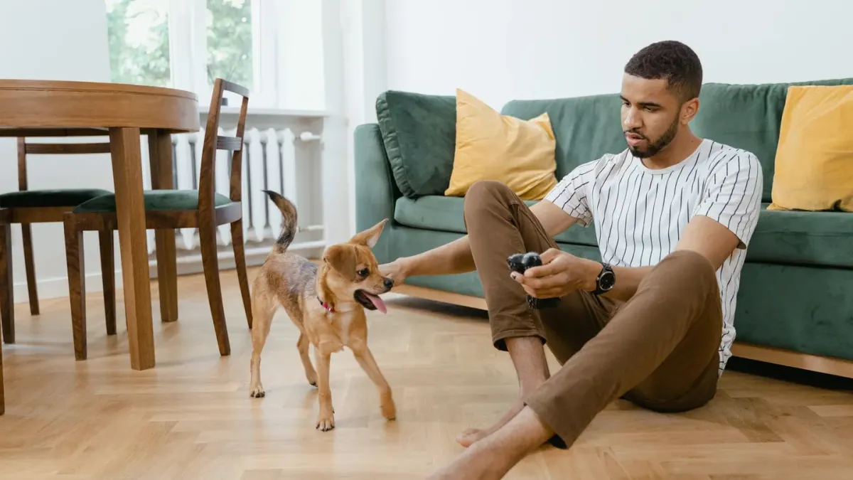 A dog owner watching their dog eat from a bowl in a home kitchen