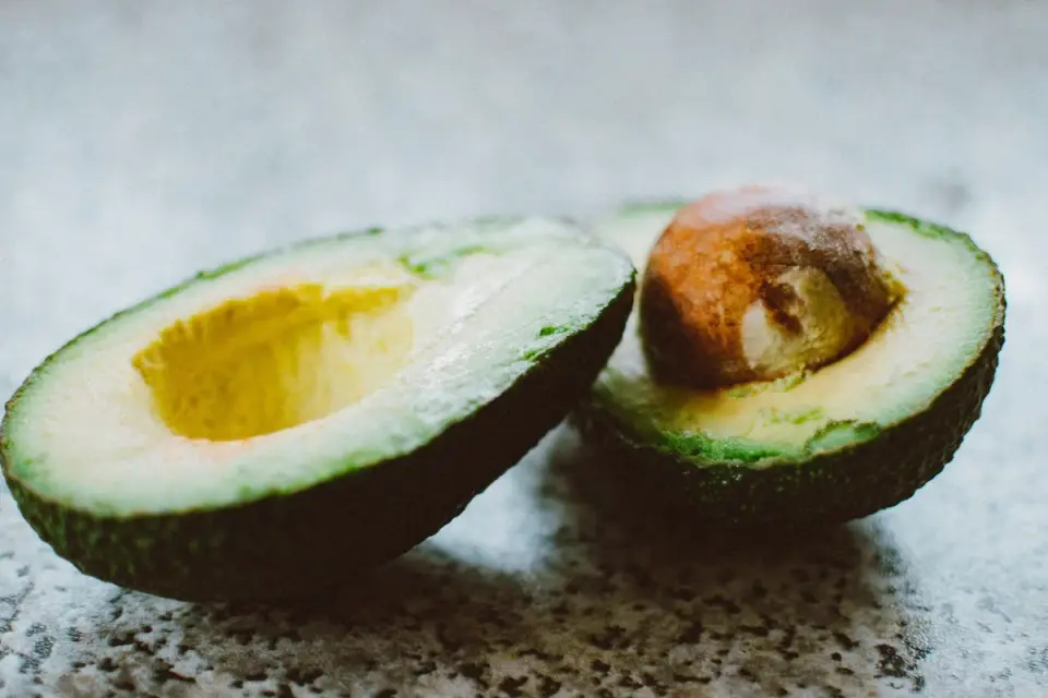 A halved avocado on a cutting board with a dog sniffing nearby