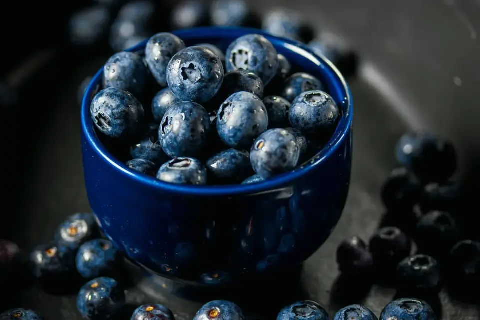 A medium dog with head lowered to a small bowl of blueberries on outdoor ground