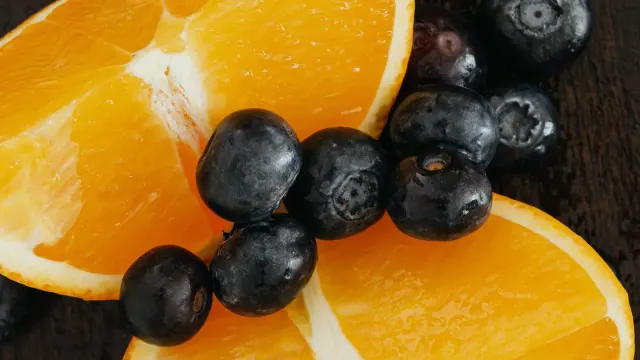 A medium-sized dog gently taking blueberries from an owner's palm outdoors