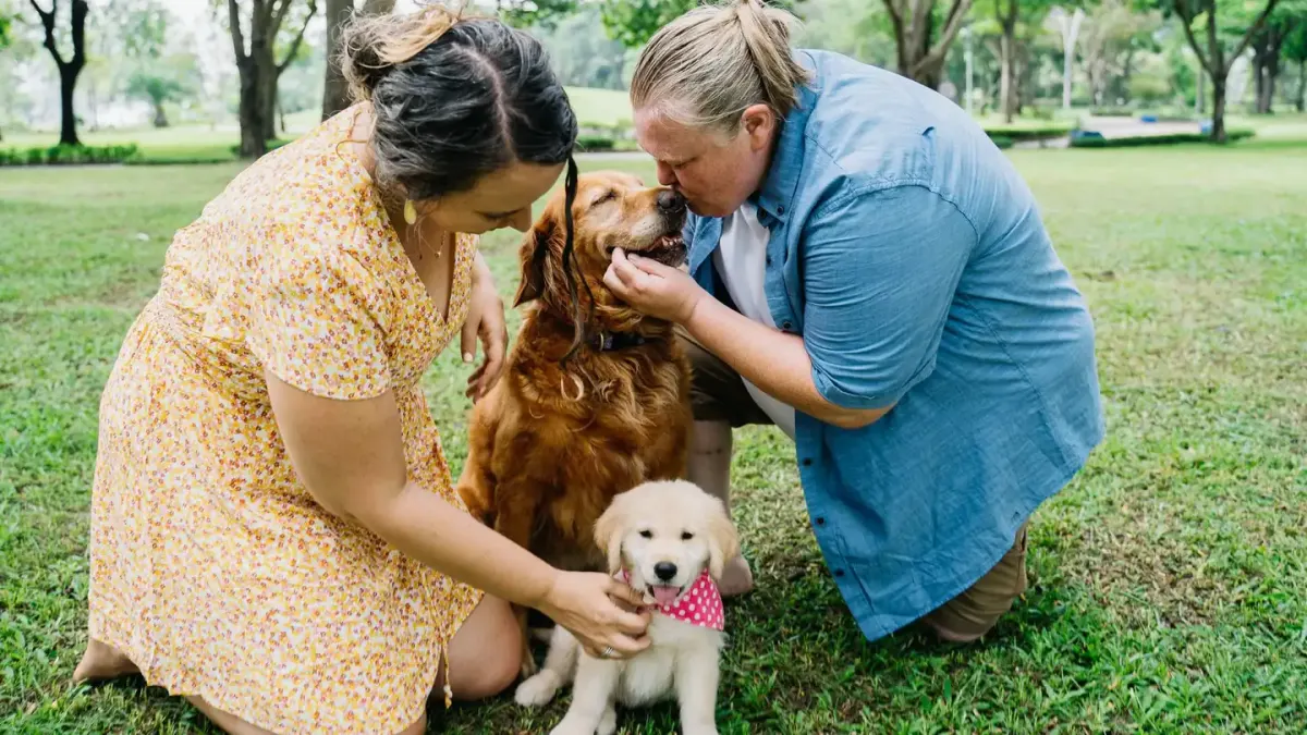 A veterinarian crouches beside a dog on grass while the owner looks on during a routine check