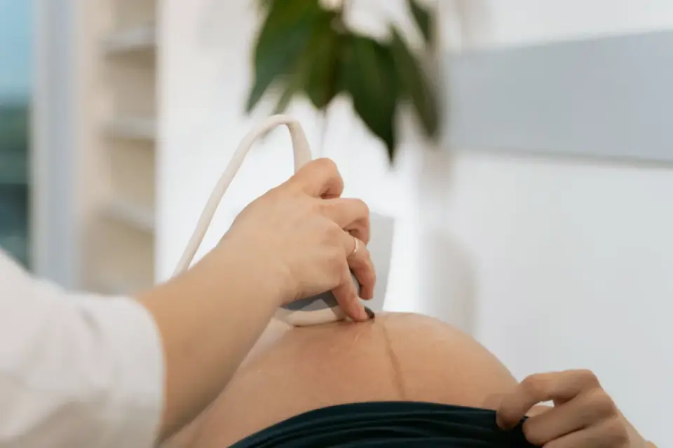 A veterinarian gently examining a dog&#x27;s abdomen during a wellness exam
