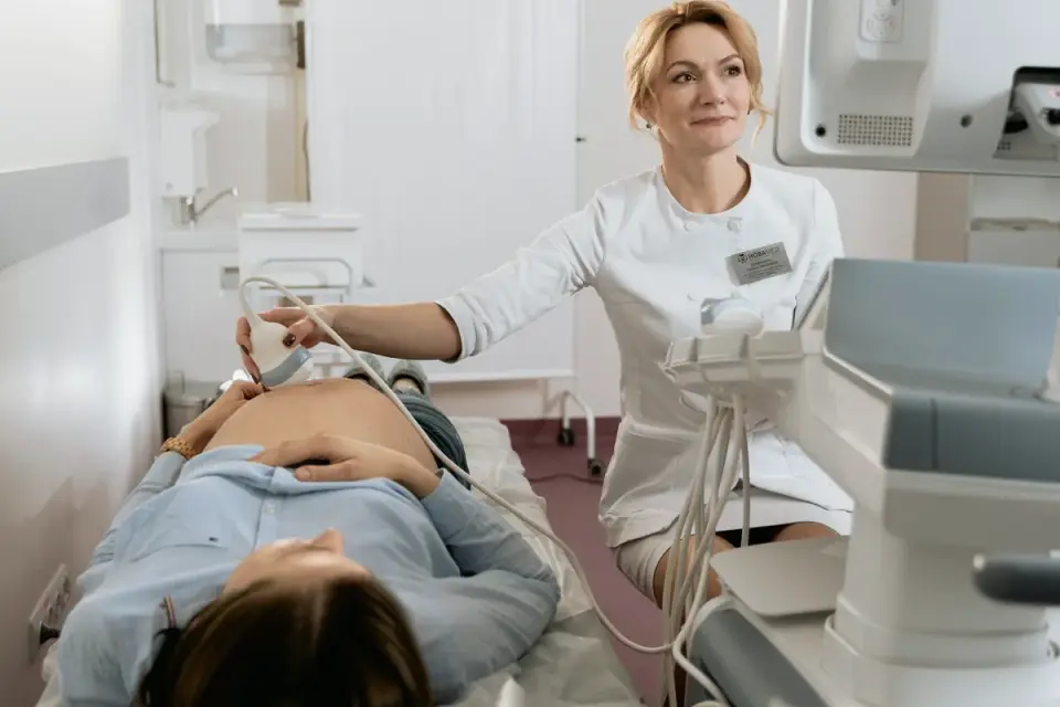 A veterinarian gently examining a dog&#x27;s abdomen on an exam table
