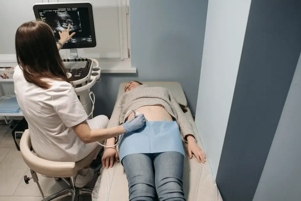 A veterinarian gently palpating a dog&#x27;s abdomen during an exam