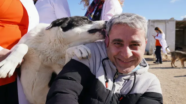 A veterinarian palpating a dog's abdomen during a routine exam