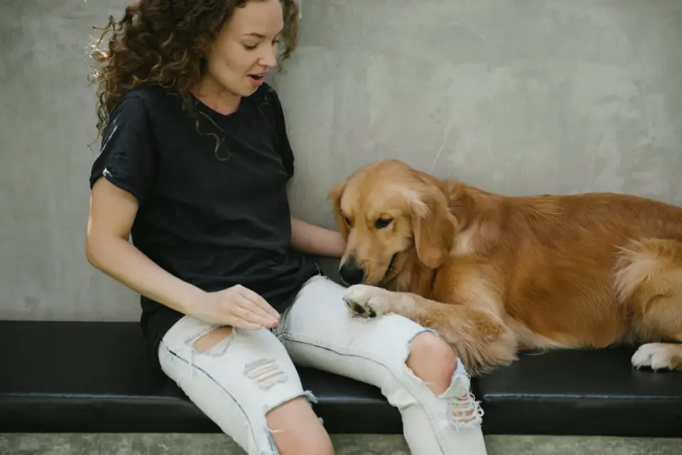 A veterinarian pointing to a dog food label while talking with a pet owner