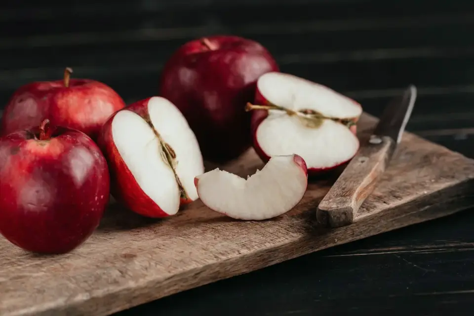 Apple slices with the core and seeds removed, prepared for a dog
