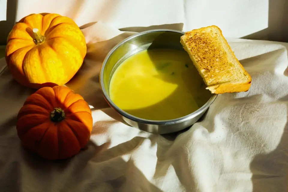 Bowl of dog kibble beside a small serving of plain pumpkin puree