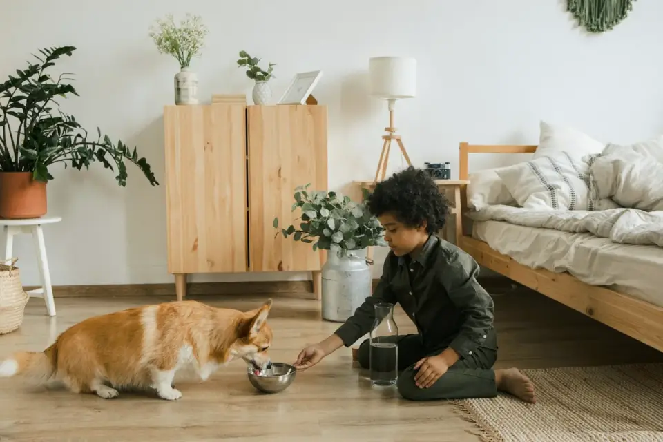 Dog eating from a bowl at home