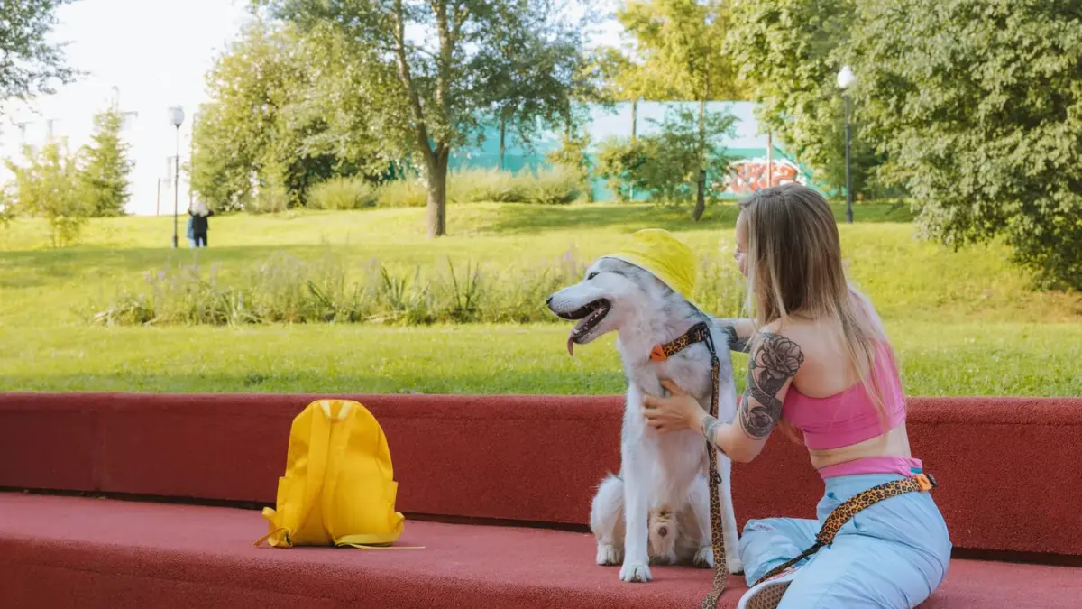 Dog eating outdoors