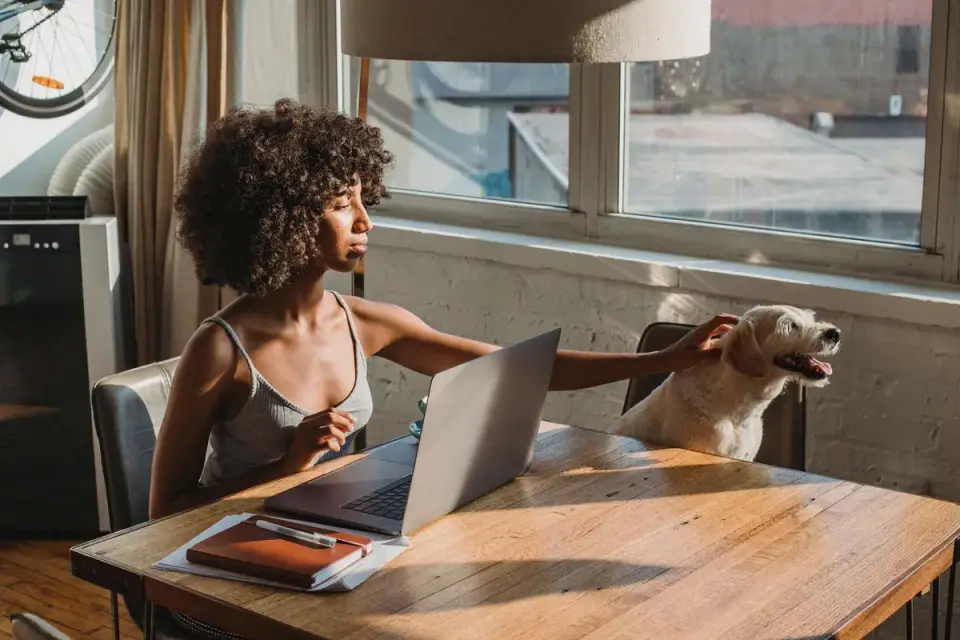 Dog in a kitchen with an owner