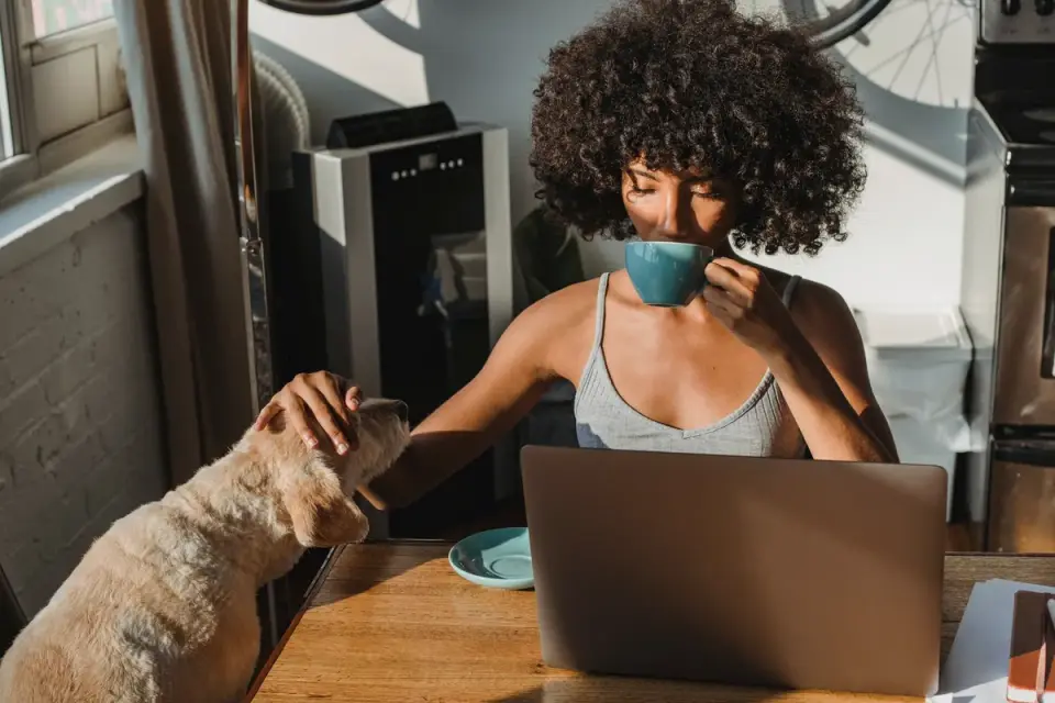 Dog owner preparing a meal