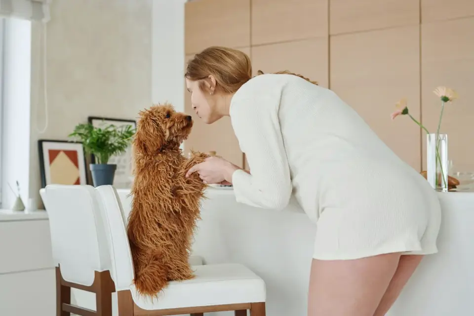 Dog owner preparing a meal