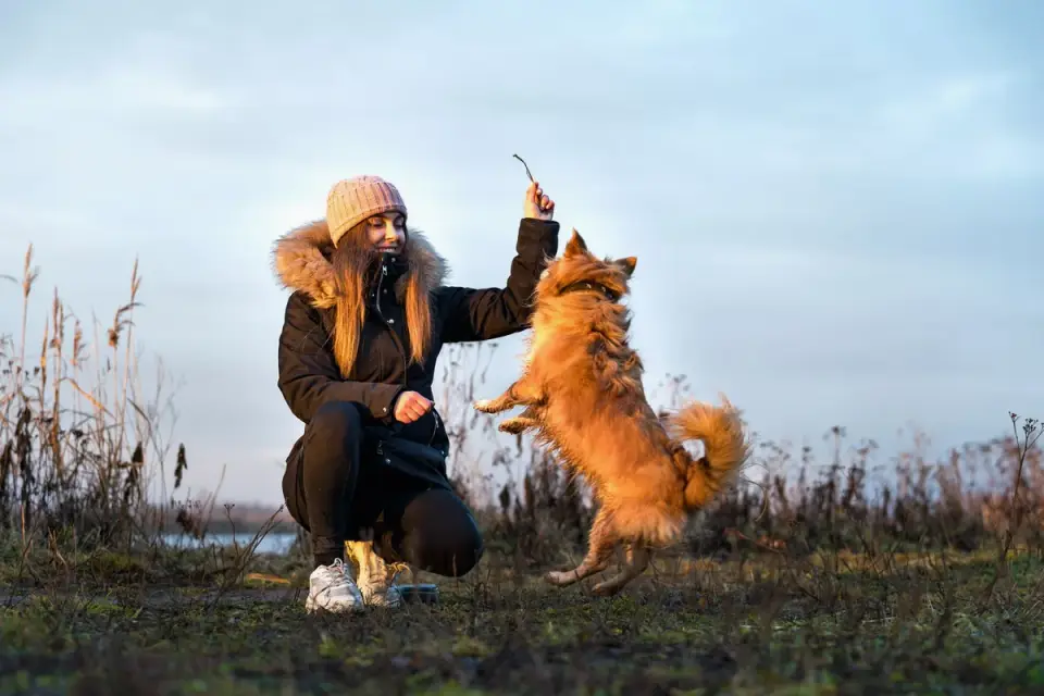 Dog owner preparing a meal