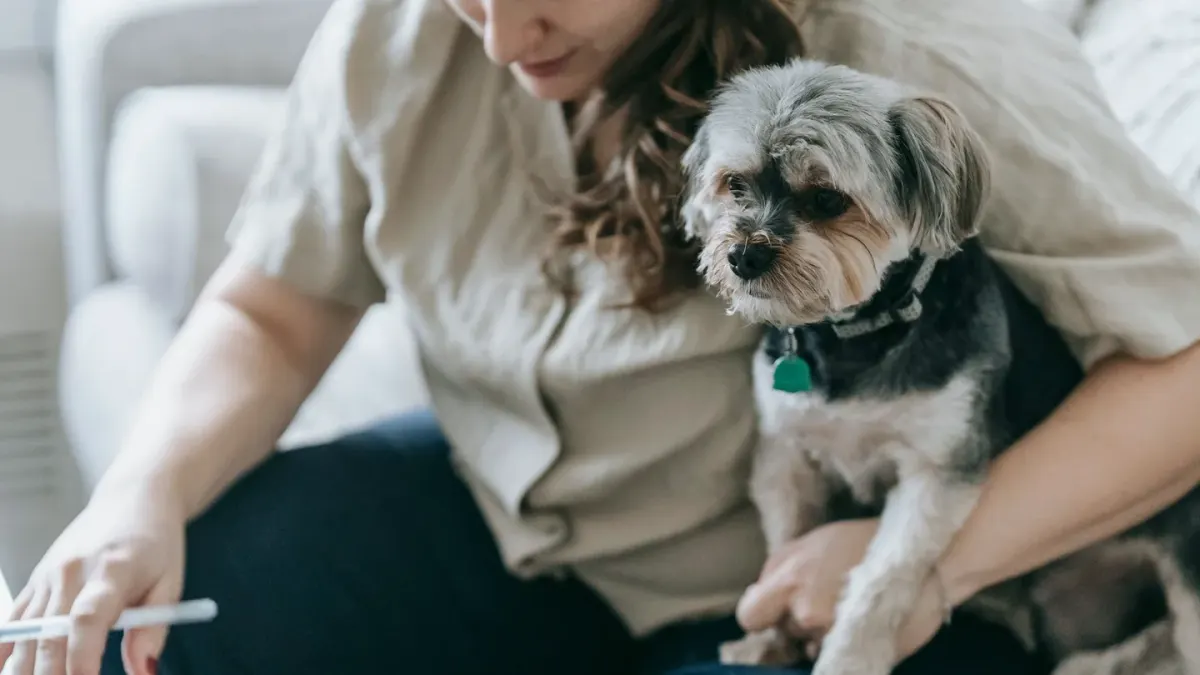 Dog owner reading a medication label in the kitchen while a dog waits nearby