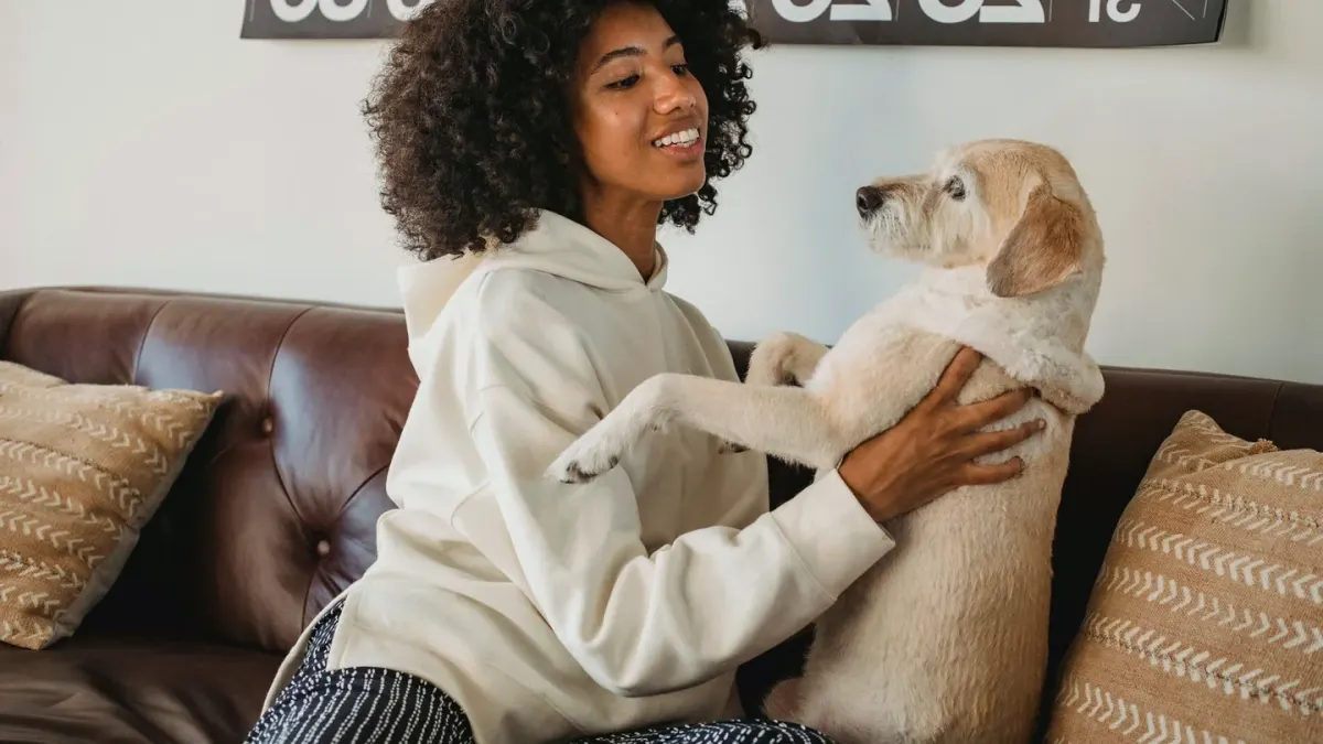 Dog resting beside an owner
