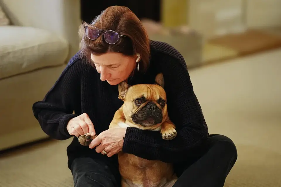 Dog resting beside an owner