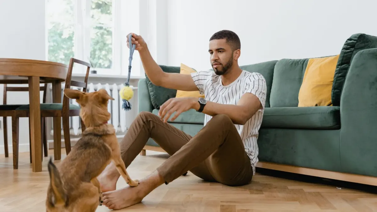Dog resting beside an owner