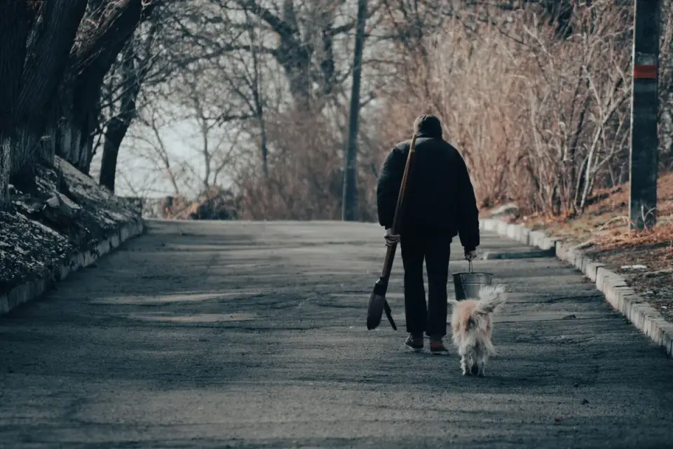 Dog walking with an owner