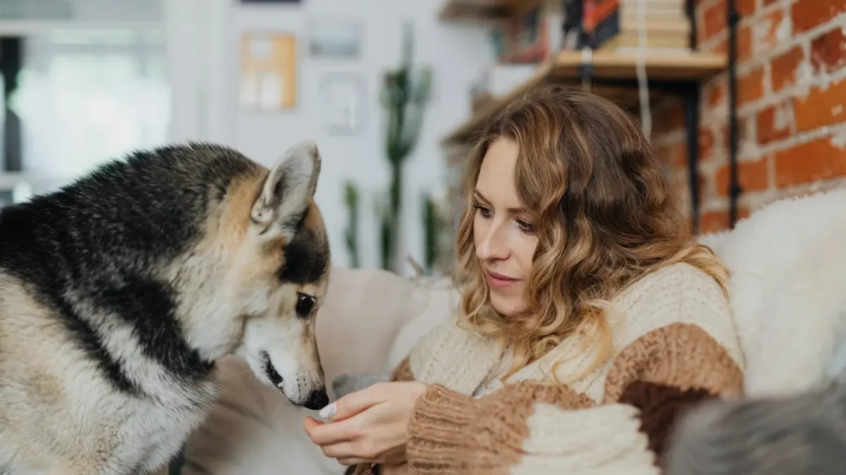 Dog with an owner at home