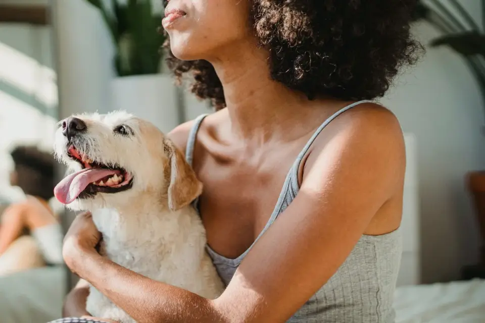 Dog with an owner at home