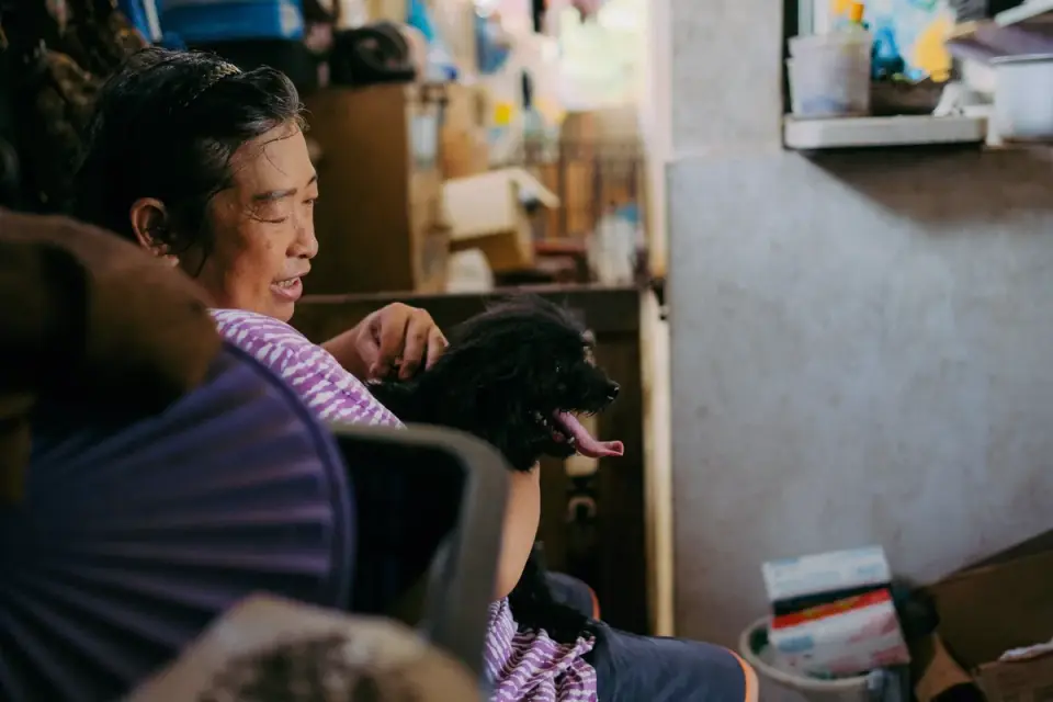 Dog with an owner at home