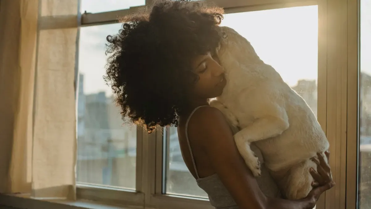 Dog with an owner at home