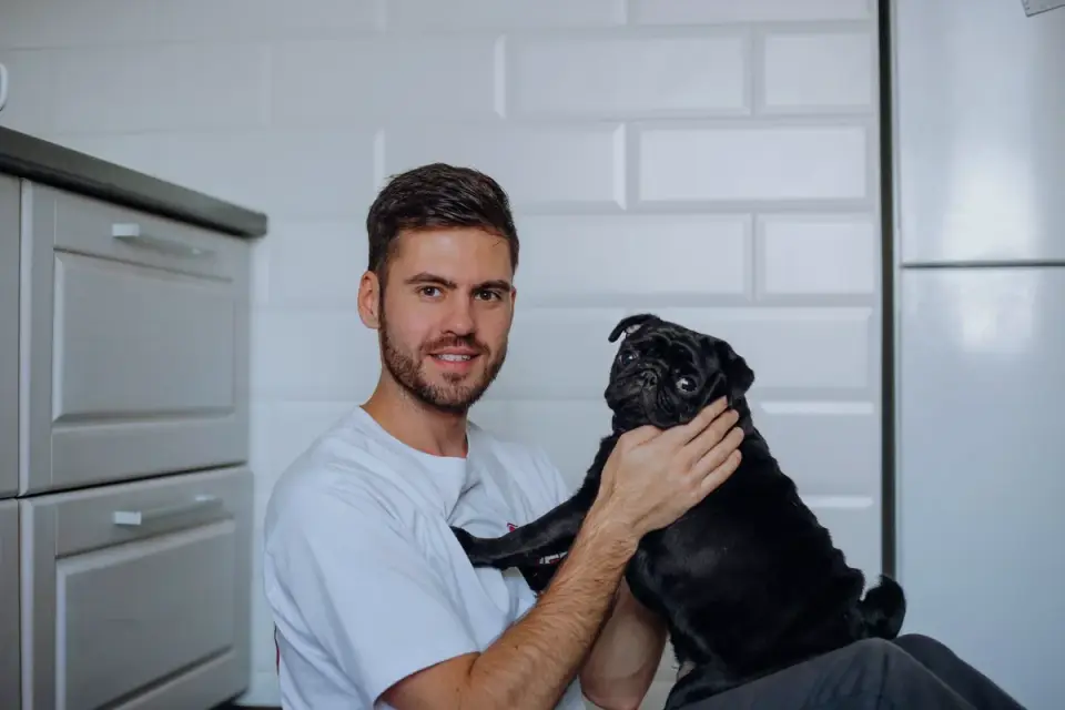 Veterinarian gently examining a dog&#x27;s abdomen during a checkup