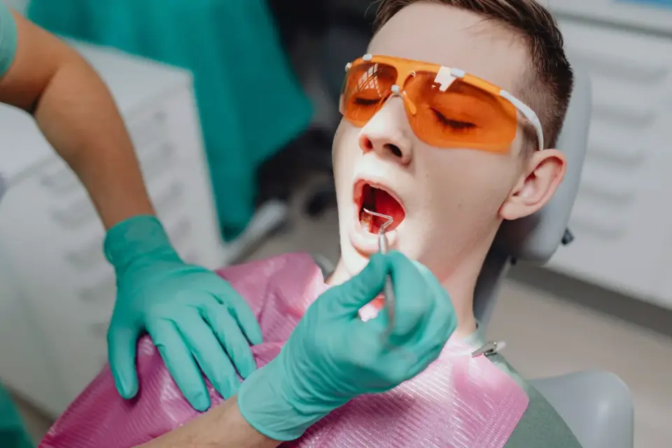 Veterinarian lifting a dog&#x27;s lip to check gum color during an exam