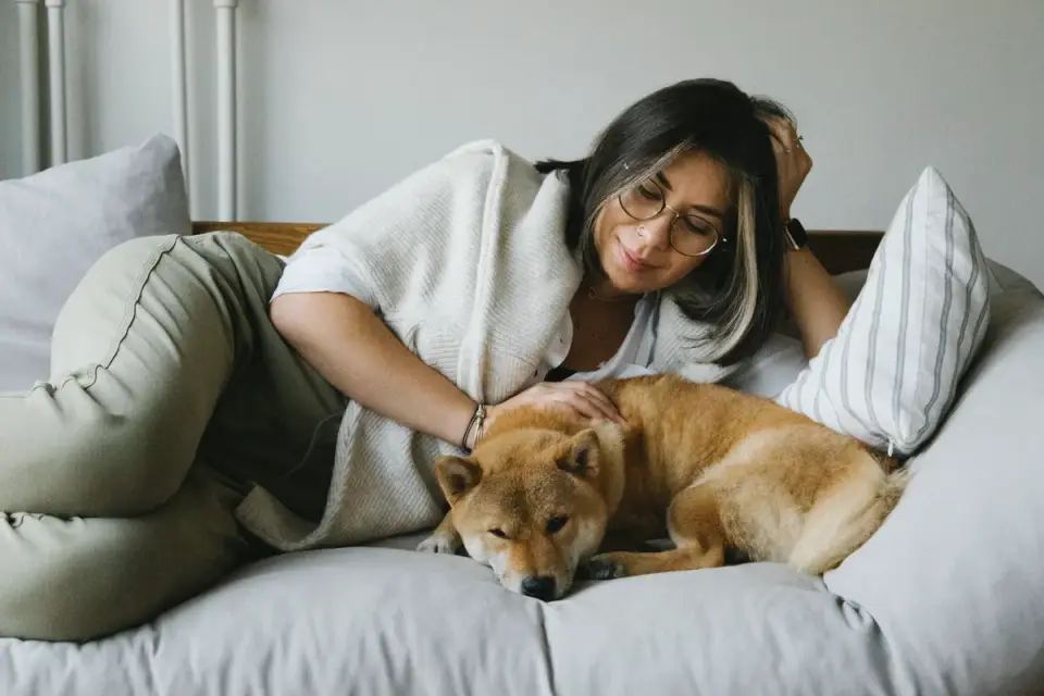 Young woman gently petting a dog resting on a sofa